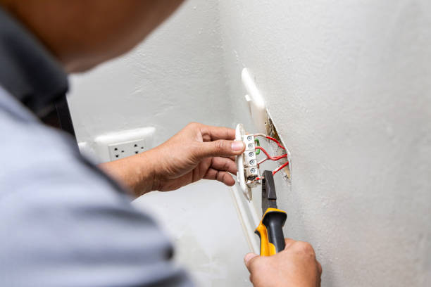 Best Licensed Electrician  in La Feria, TX